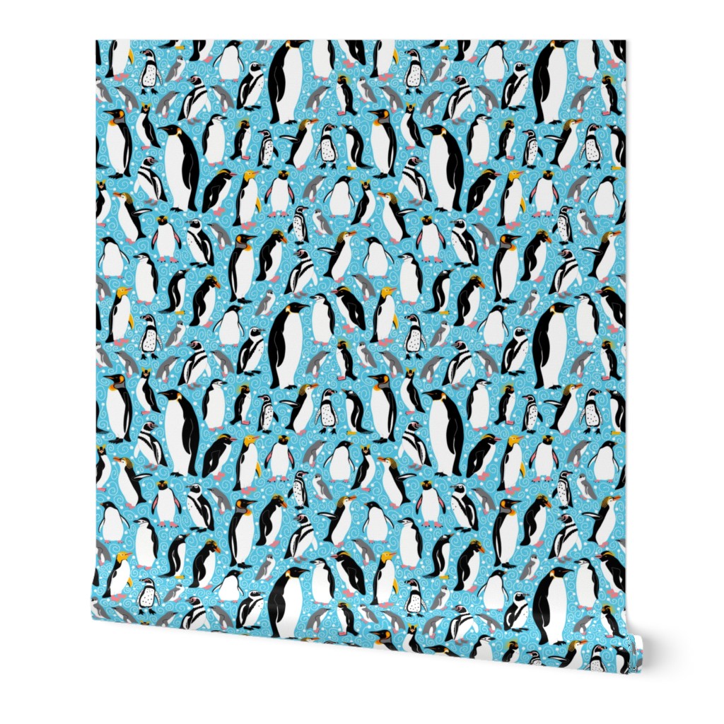 All the Pretty Penguins