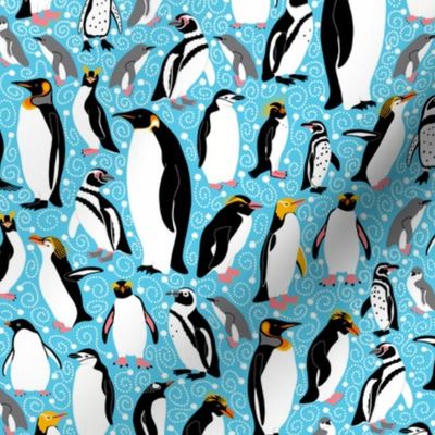 All the Pretty Penguins