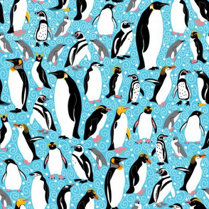 All the Pretty Penguins