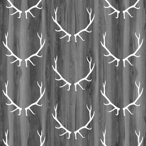 White Elk Antlers // Grey Wood Grain // Large