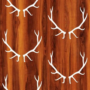 Elk Antlers // Cherry Wood Grain // Small