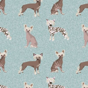 chinese crested pet quilt b dog breed nursery quilt collection coordinate
