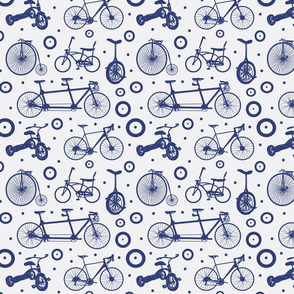 blue bikes 3