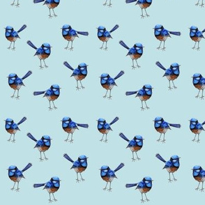Blue Wrens Blue Wings 3.6"