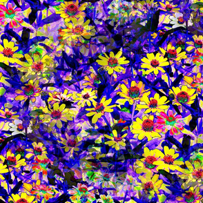 Field_of_Flowers