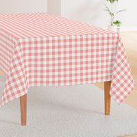 Checker - Blush Texture