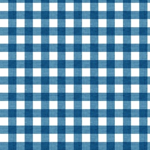 Checker - Blue Texture