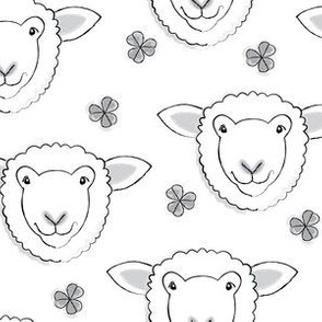 white sheep and clover