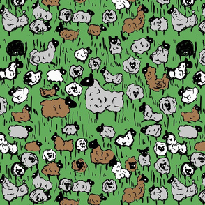 sheepie pattern