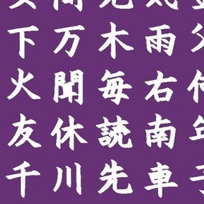 Kanji / Hànzì Characters on Violet // Large