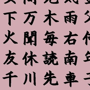 Kanji / Hànzì Characters on Pink // Large