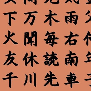 Kanji / Hànzì Characters on Terracotta // Large