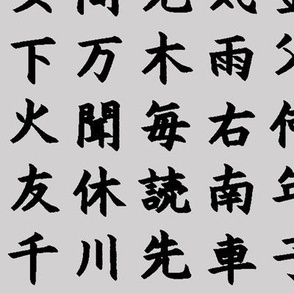 Kanji / Hànzì Characters on Light Grey // Large