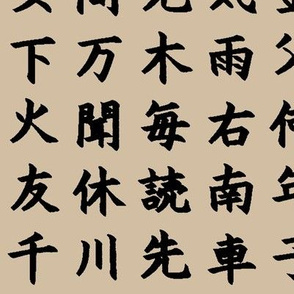 Kanji / Hànzì Characters on Bone // Large