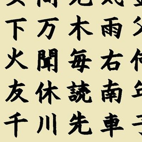 Kanji / Hànzì Characters on Parchment // Large