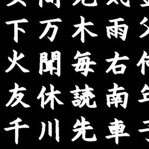 Kanji / Hànzì Characters on Black // Large