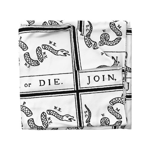 Join or Die Flag (27"W)