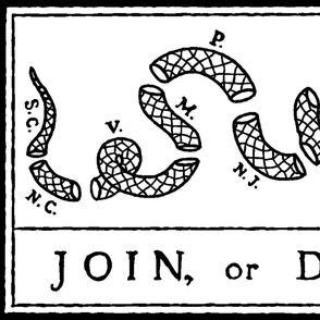 Join or Die Flag (27"W)