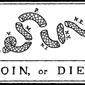 Join or Die Flag (54"W)