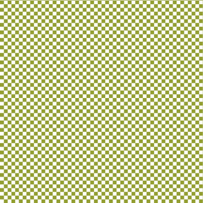 Painterly Rose Green Checks