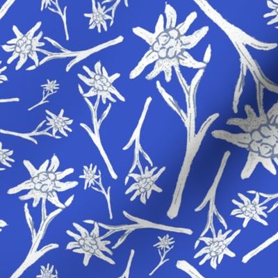 Edelweiss Lace Nr. 1 Strong Blue Medium