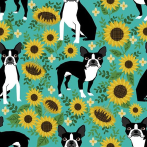 boston terrier sunflower fabric dogs and sunflowers floral design - turquoise - LARGE