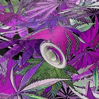 Cannabis Fushia Joy