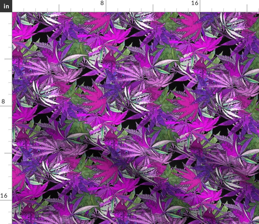 Cannabis Fushia Joy