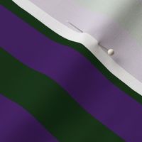 fdl2010 purple-green 1 inch stripe coordinate