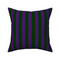 fdl2010 purple-green 1 inch stripe coordinate