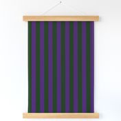 fdl2010 purple-green 1 inch stripe coordinate