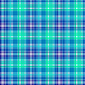 Colorful Expressions Blue Plaid