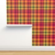 Colorful Expressions Orange Plaid