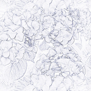 sketched hydrangeas