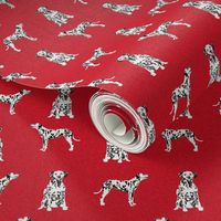 dalmatian pet quilt a collection coordinate dog breed fabric