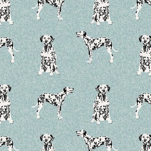 dalmatian pet quilt b collection coordinate dog breed fabric