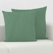 solid salt-rimed ocean green (6D8F75)