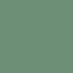 solid salt-rimed ocean green (6D8F75)