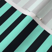 Aqua & Black Stripe