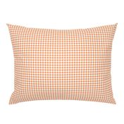 1/4" Gingham Apricot Max