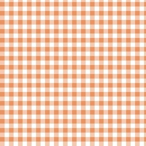 1/4" Gingham Apricot Max