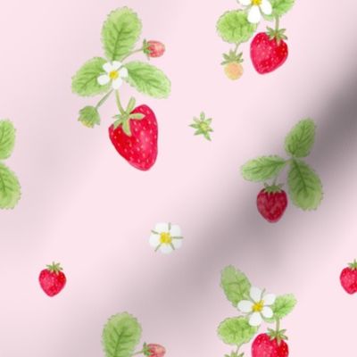 strawberries on blush / childrens room baby nursery kids