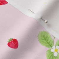 strawberries on blush / childrens room baby nursery kids