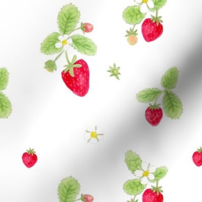 strawberries on white/ childrens room baby nursery kids