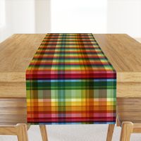 Gingham Rainbow Check