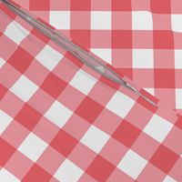 Gingham Picnic Check {Red and White}