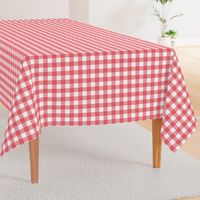 Gingham Picnic Check {Red and White}