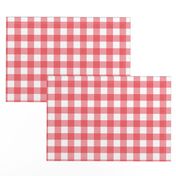 Gingham Picnic Check {Red and White}