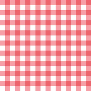 Gingham Picnic Check {Red and White}