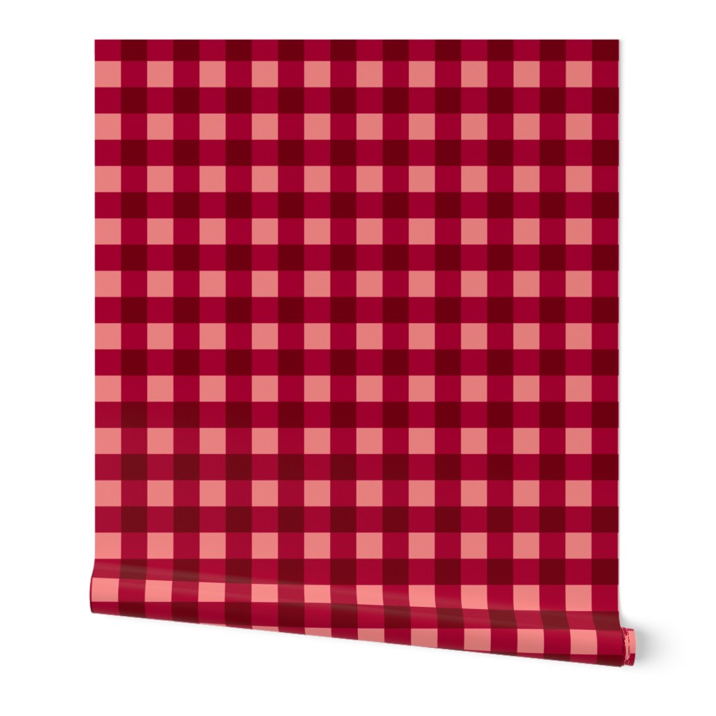 Gingham Picnic Check {Red}